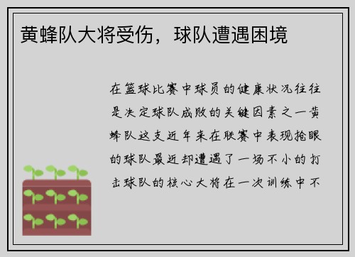 黄蜂队大将受伤，球队遭遇困境