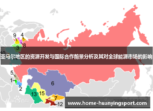 亚马尔地区的资源开发与国际合作前景分析及其对全球能源市场的影响